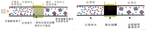 電子水除垢儀 電子水除垢儀